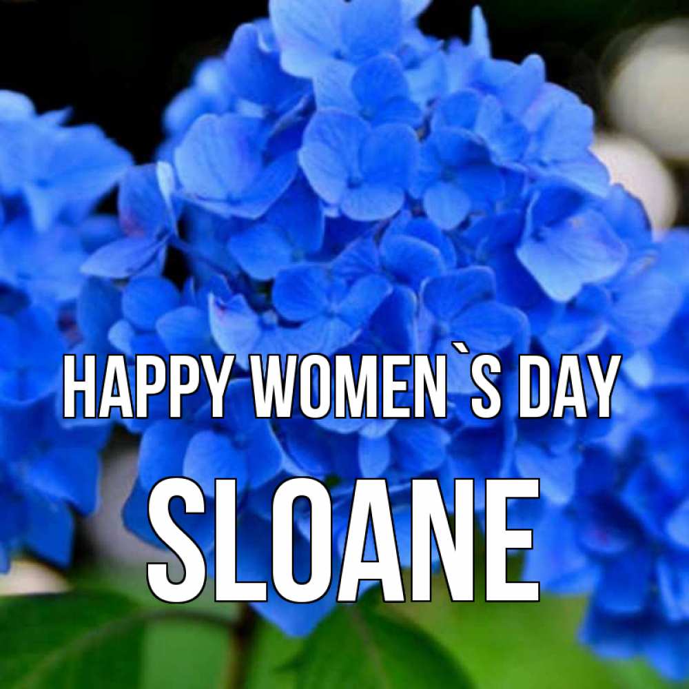 Greetings card с именем, Sloane happy women`s day синие цветы Greetings with text for free download 